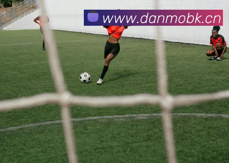 多媒体互动体验